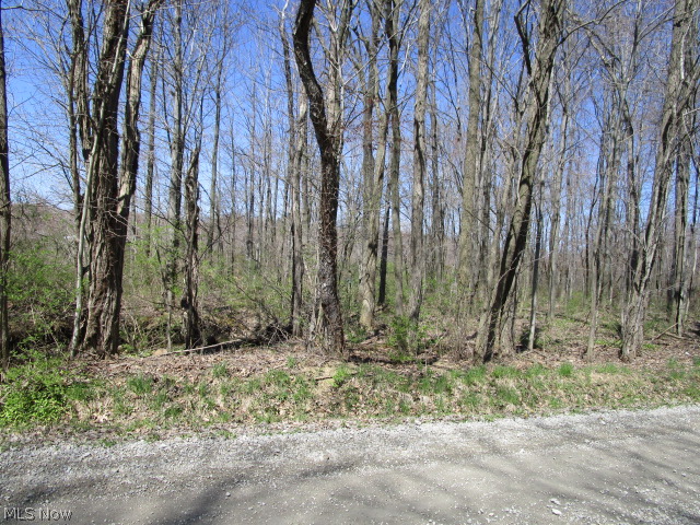 0 Moseley Road Thompson, OH 44086 - Photo 5 of 19