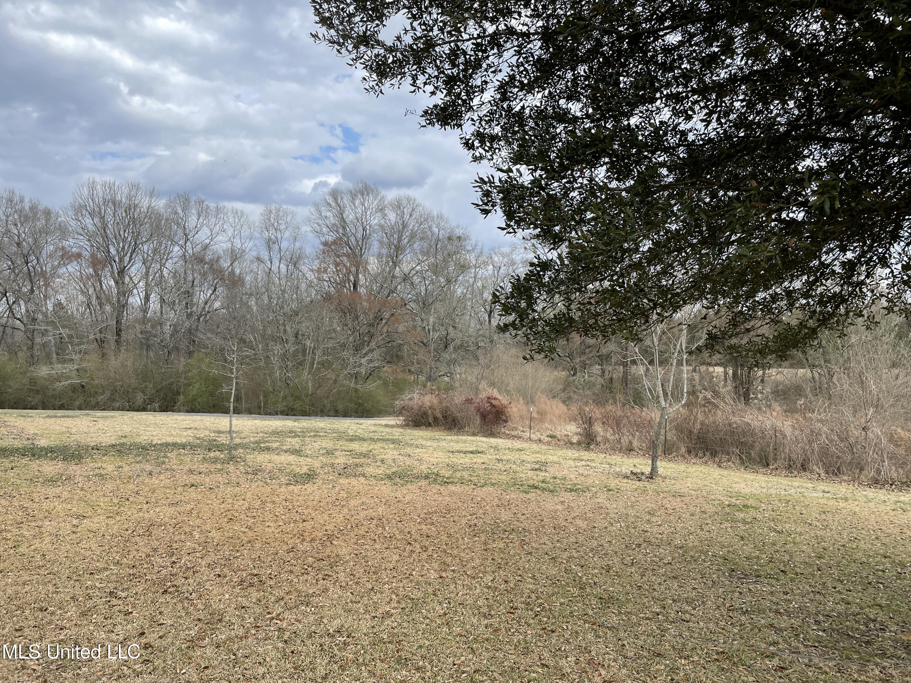 8389 Dry Grove Road Raymond, MS 39154 - Photo 10 of 29 IMG_5682