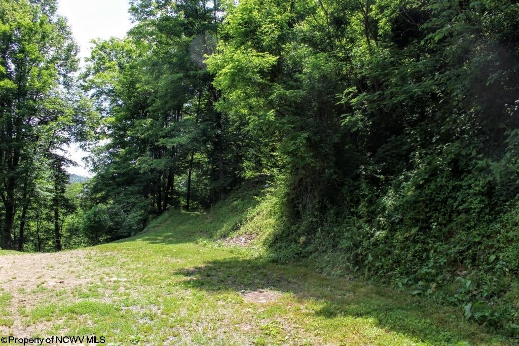 5883 Saltlick Road Terra Alta, WV 26764 - Photo 20 of 23 Gallery Image 20
