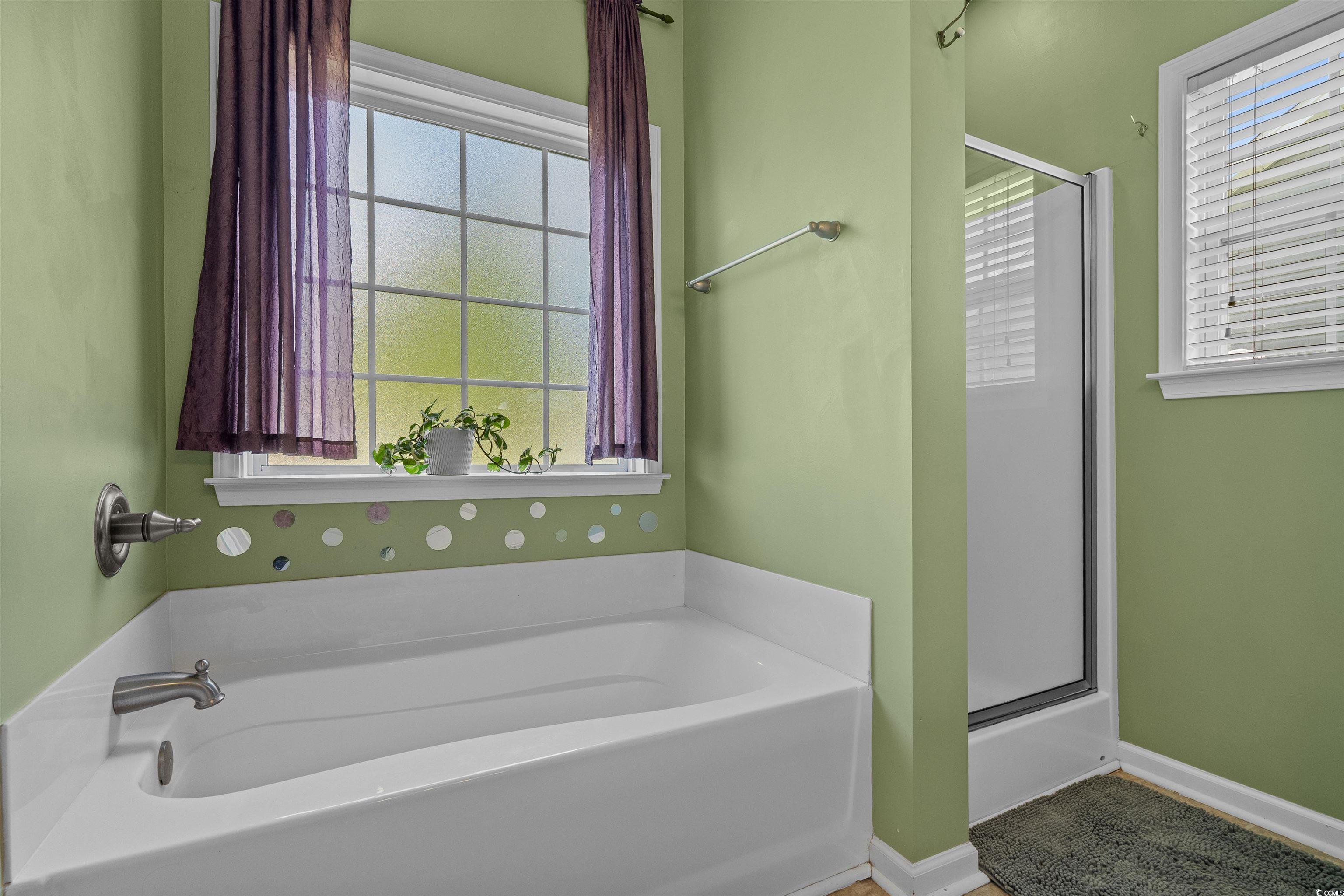 227 Hickory Springs Court Conway, SC 29527 - Photo 17 of 32