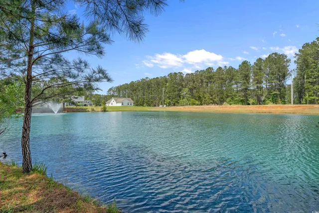 $265,000 | 227 Hickory Springs Court, Conway, SC 29527