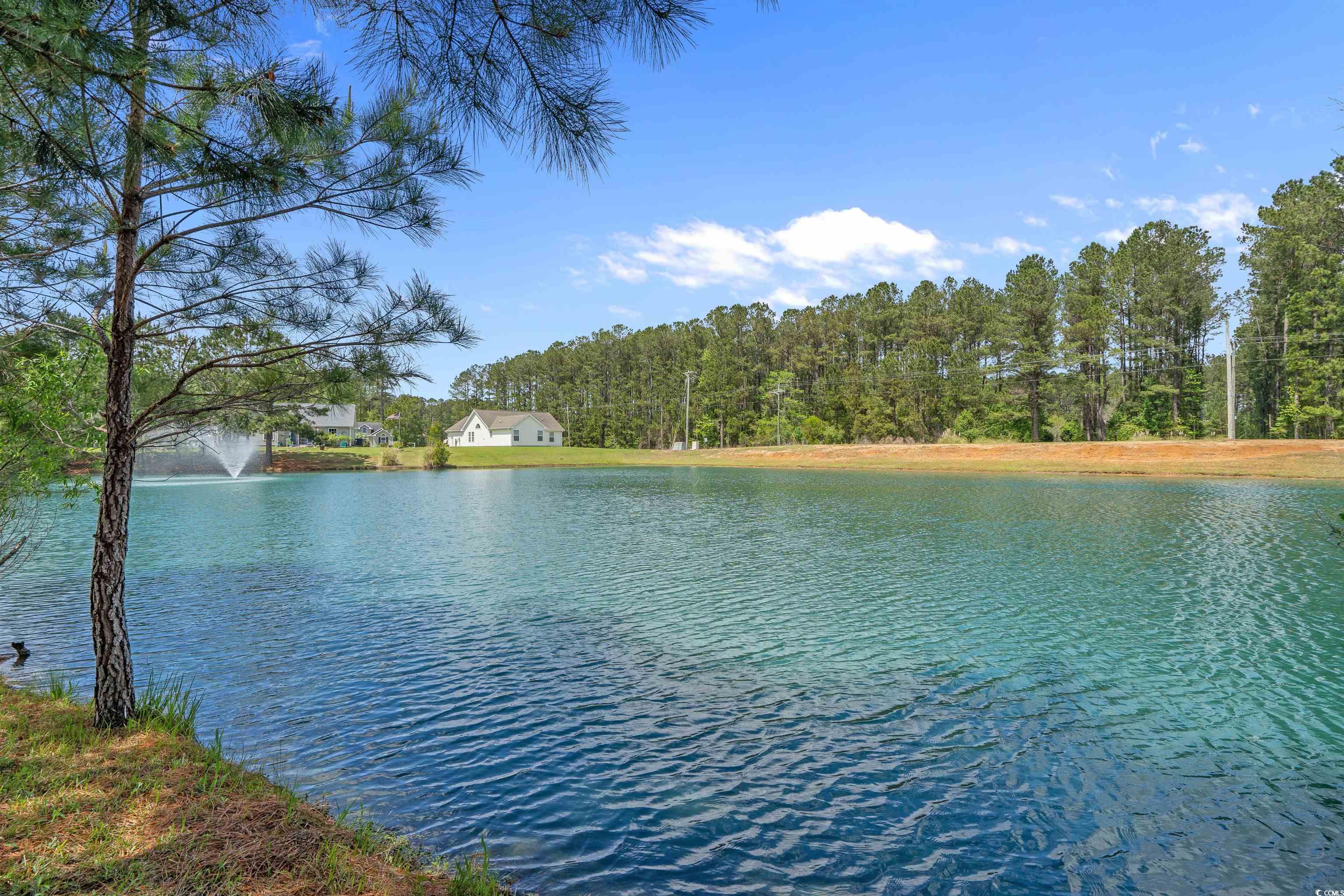 227 Hickory Springs Court Conway, SC 29527 - Photo 29 of 32