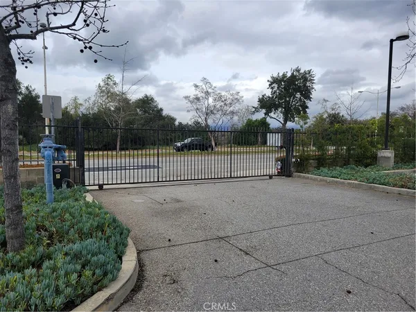 a view of a dry yard with trees