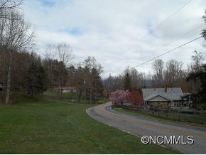 Off Kims Cove Road Canton, NC 28716 - Photo 2 of 4