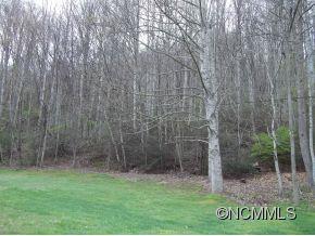 Off Kims Cove Road Canton, NC 28716 - Photo 3 of 4