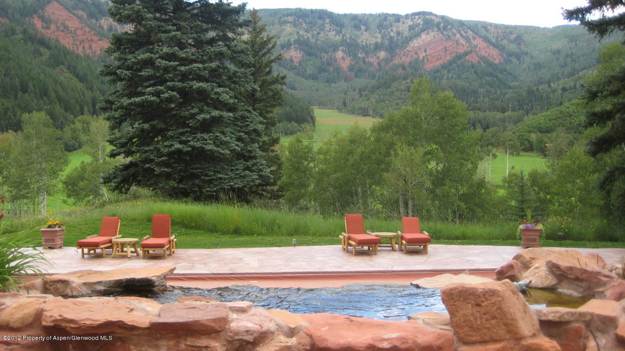 2900 Taylor Creek Road Basalt, CO 81621 - Photo 15 of 39 a small garden covered with tall trees