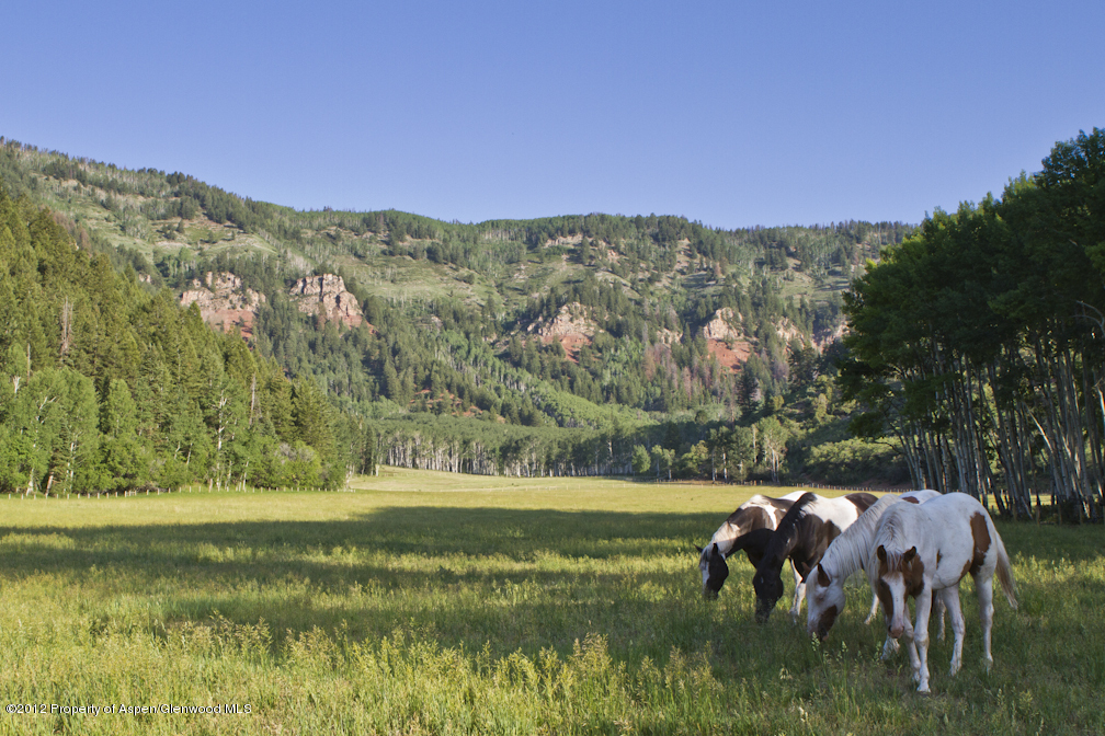 2900 Taylor Creek Road Basalt, CO 81621 - Photo 26 of 39 a view of a lake with a mountain in the background