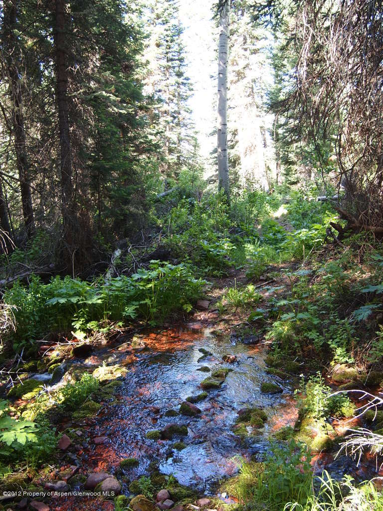 2900 Taylor Creek Road Basalt, CO 81621 - Photo 28 of 39 a backyard of a house with a yard and outdoor seating