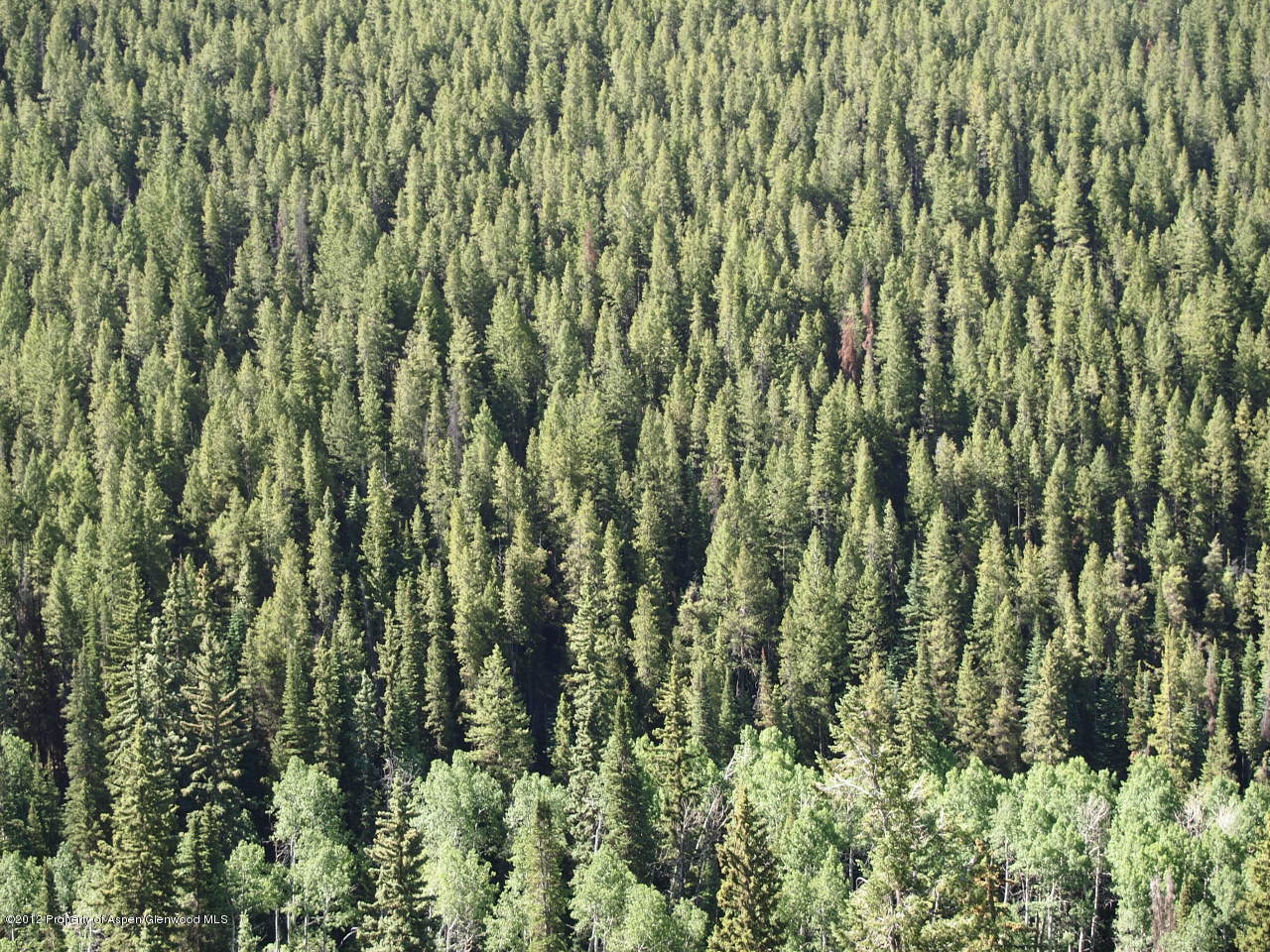 2900 Taylor Creek Road Basalt, CO 81621 - Photo 31 of 39