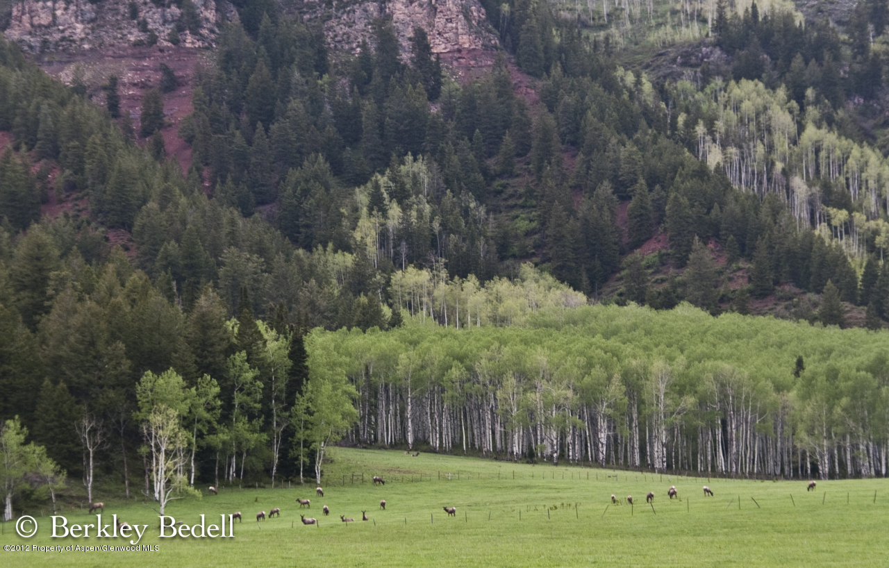 2900 Taylor Creek Road Basalt, CO 81621 - Photo 32 of 39 a view of a golf course with a house