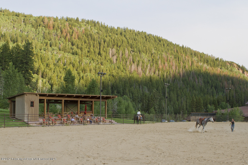 2900 Taylor Creek Road Basalt, CO 81621 - Photo 34 of 39 a view of a backyard