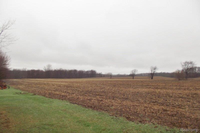 8100 Roberts Road Gregory, MI 48137 - Photo 3 of 8 DSCF2064 (800x534) (2).jpg