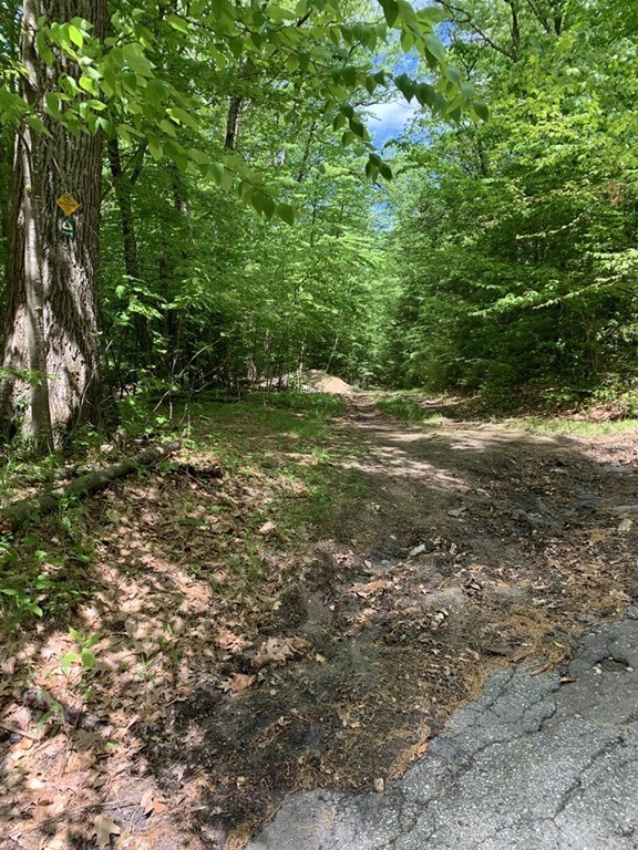 0 Arn-How Farm Road Fitchburg, MA 01420 - Photo 3 of 3 a view of a yard with plants and large trees