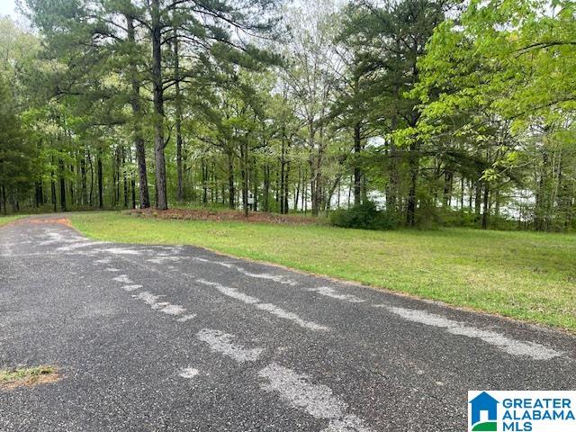 10 Lonesome Pine Trail Riverside, AL 35135 - Photo 4 of 4