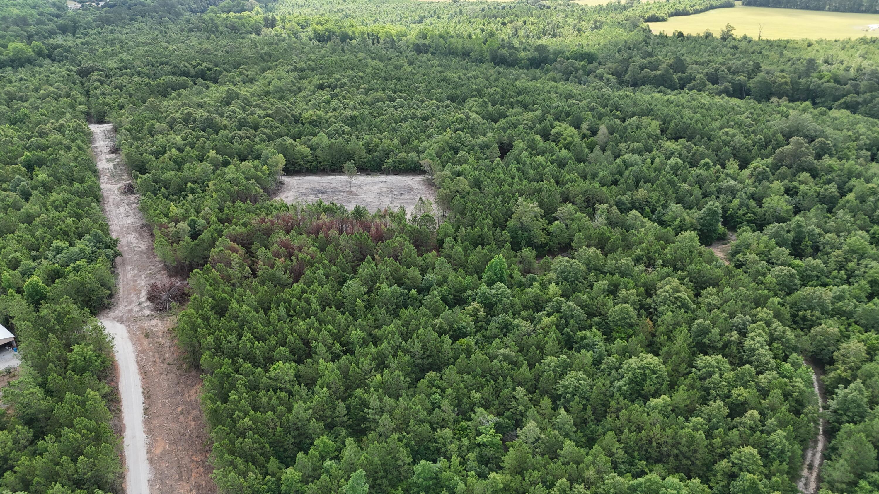 0 Jessie James Pond Road Wrens, GA 30833 - Photo 28 of 51 DJI_20240619103506_0001_D