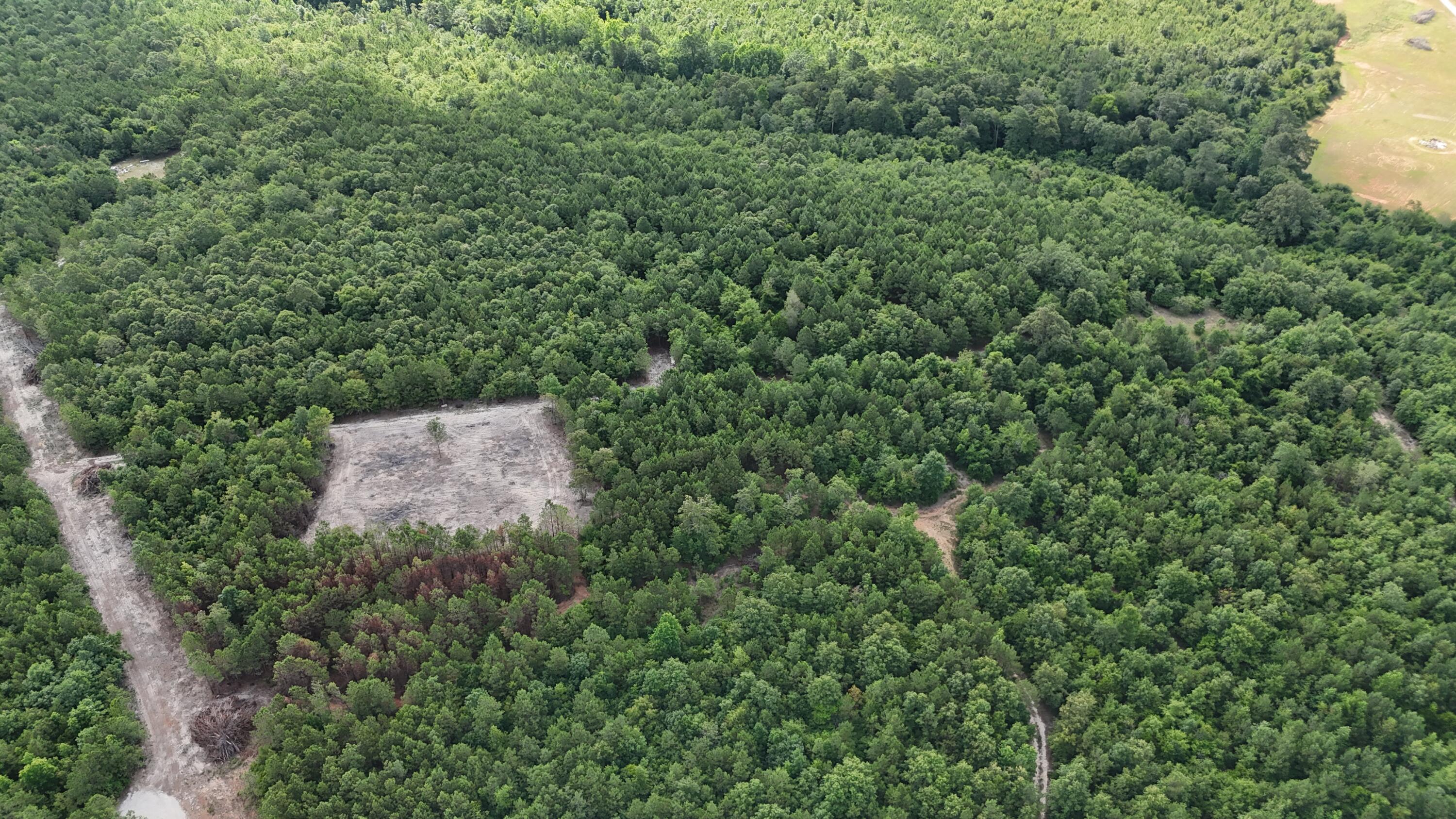 0 Jessie James Pond Road Wrens, GA 30833 - Photo 29 of 51 DJI_20240619103525_0002_D