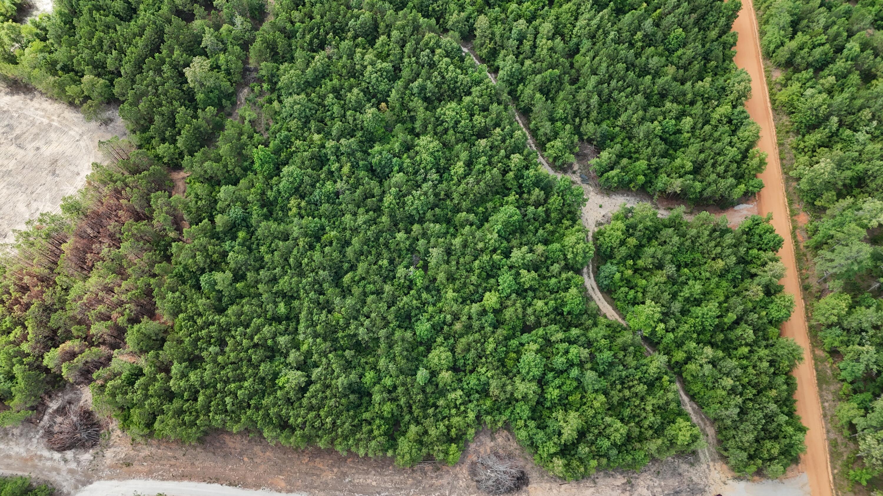 0 Jessie James Pond Road Wrens, GA 30833 - Photo 30 of 51 DJI_20240619103600_0003_D