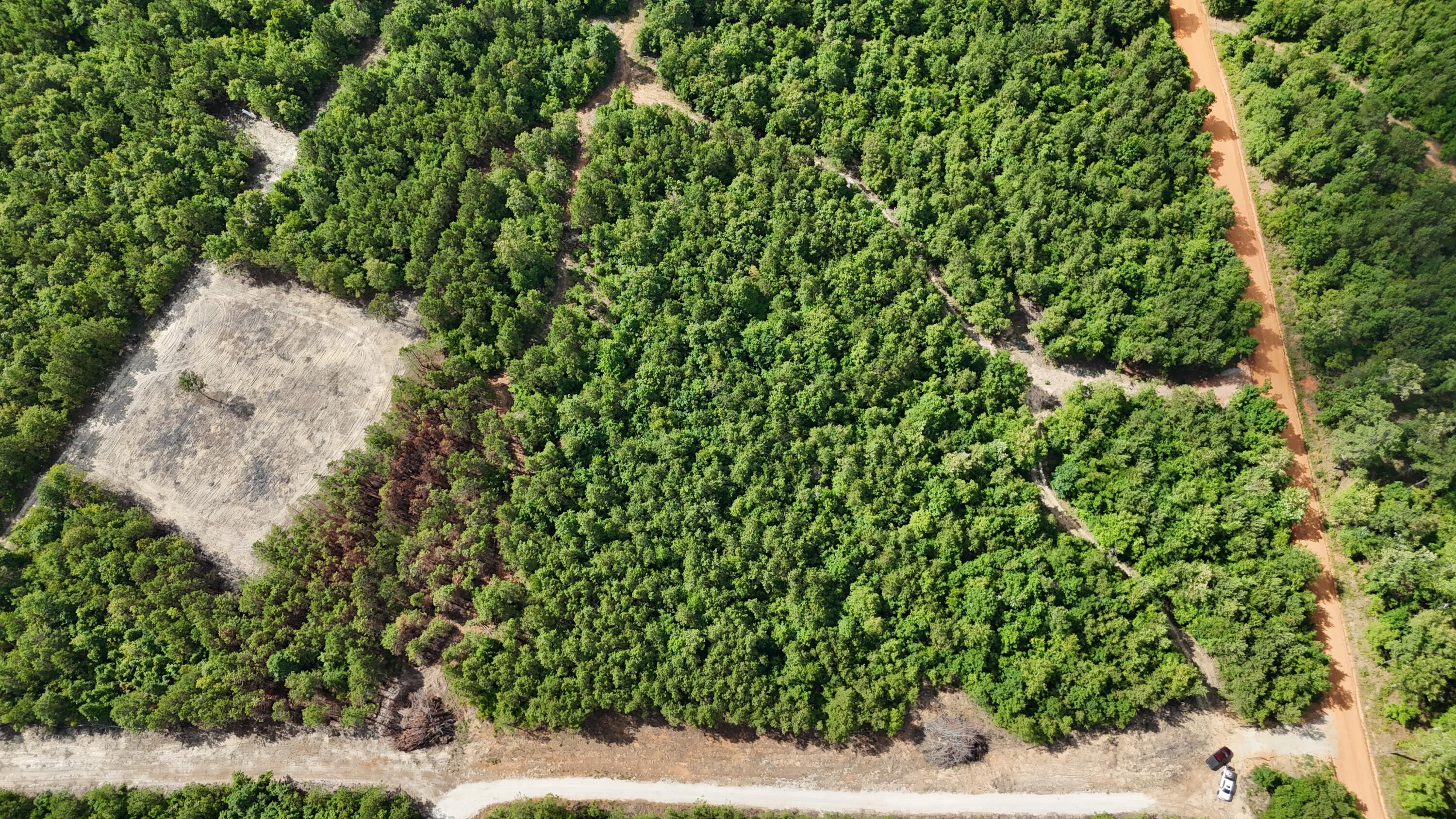 0 Jessie James Pond Road Wrens, GA 30833 - Photo 31 of 51 DJI_20240619103633_0004_D