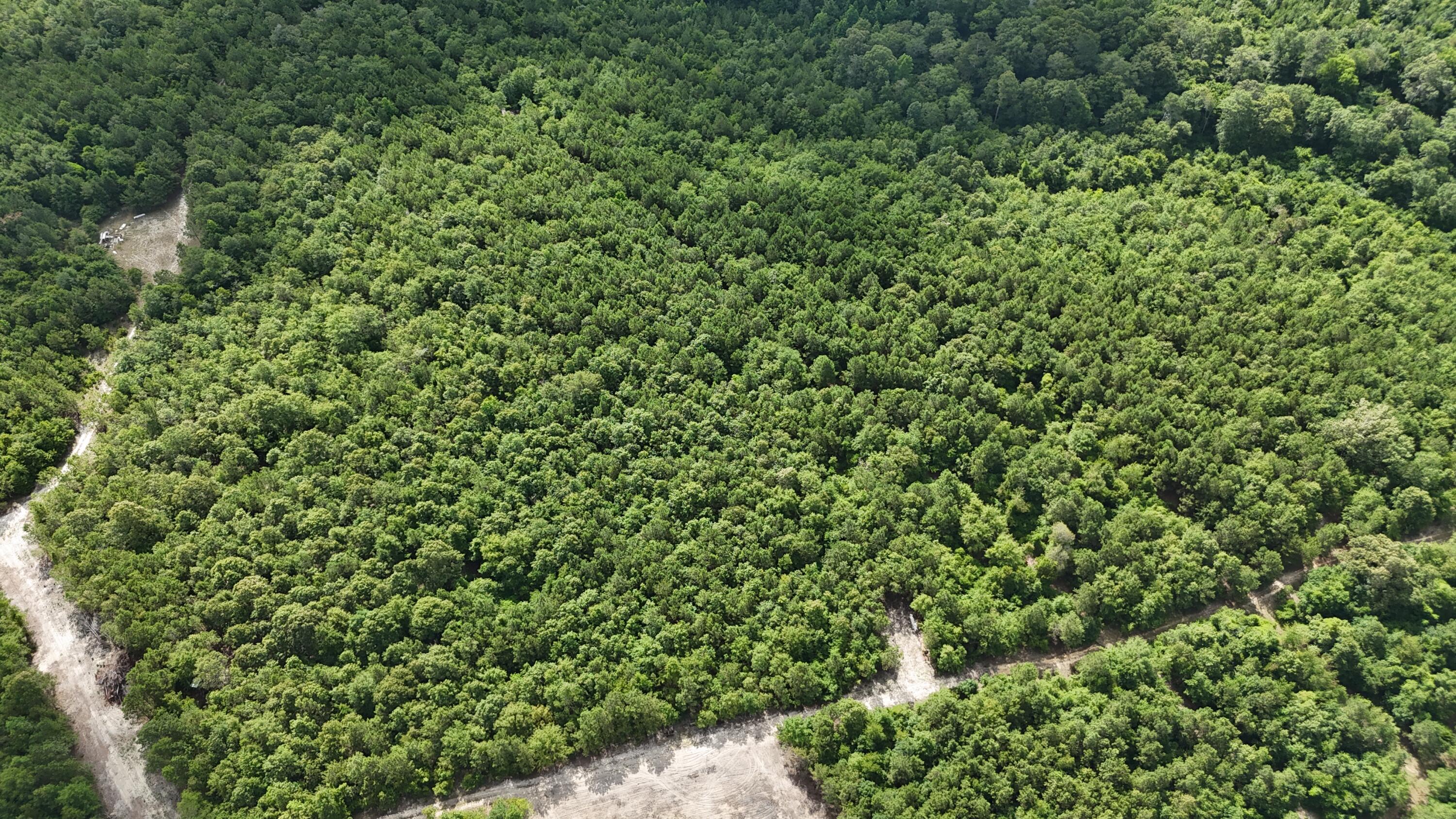 0 Jessie James Pond Road Wrens, GA 30833 - Photo 33 of 51 DJI_20240619103722_0006_D