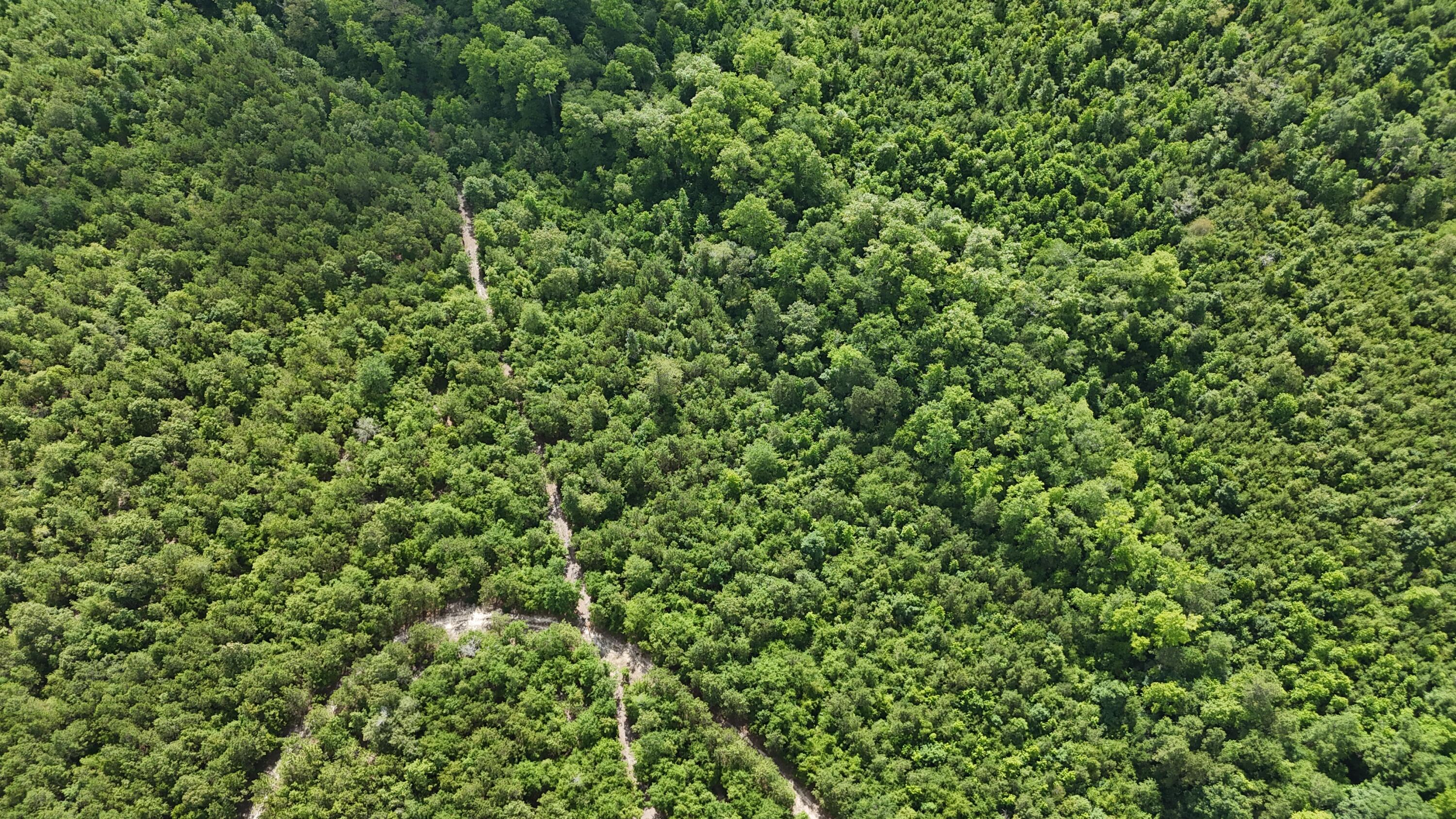 0 Jessie James Pond Road Wrens, GA 30833 - Photo 34 of 51 DJI_20240619103811_0007_D