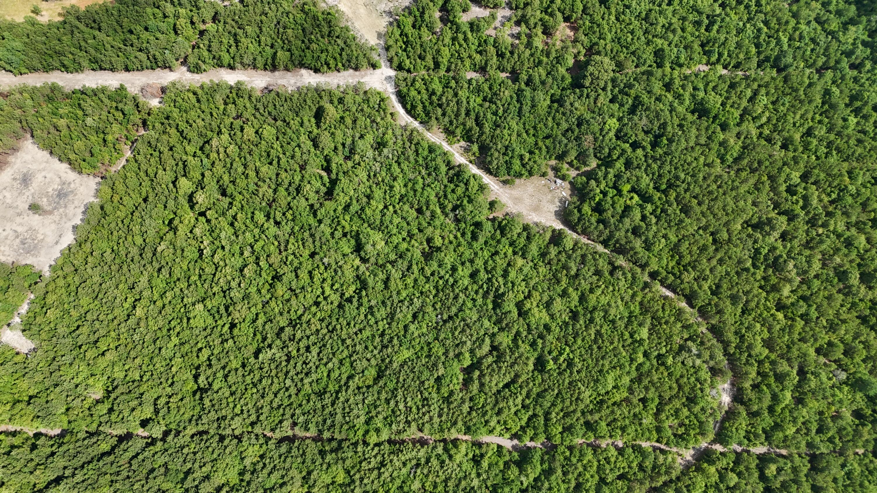0 Jessie James Pond Road Wrens, GA 30833 - Photo 39 of 51 DJI_20240619103941_0012_D