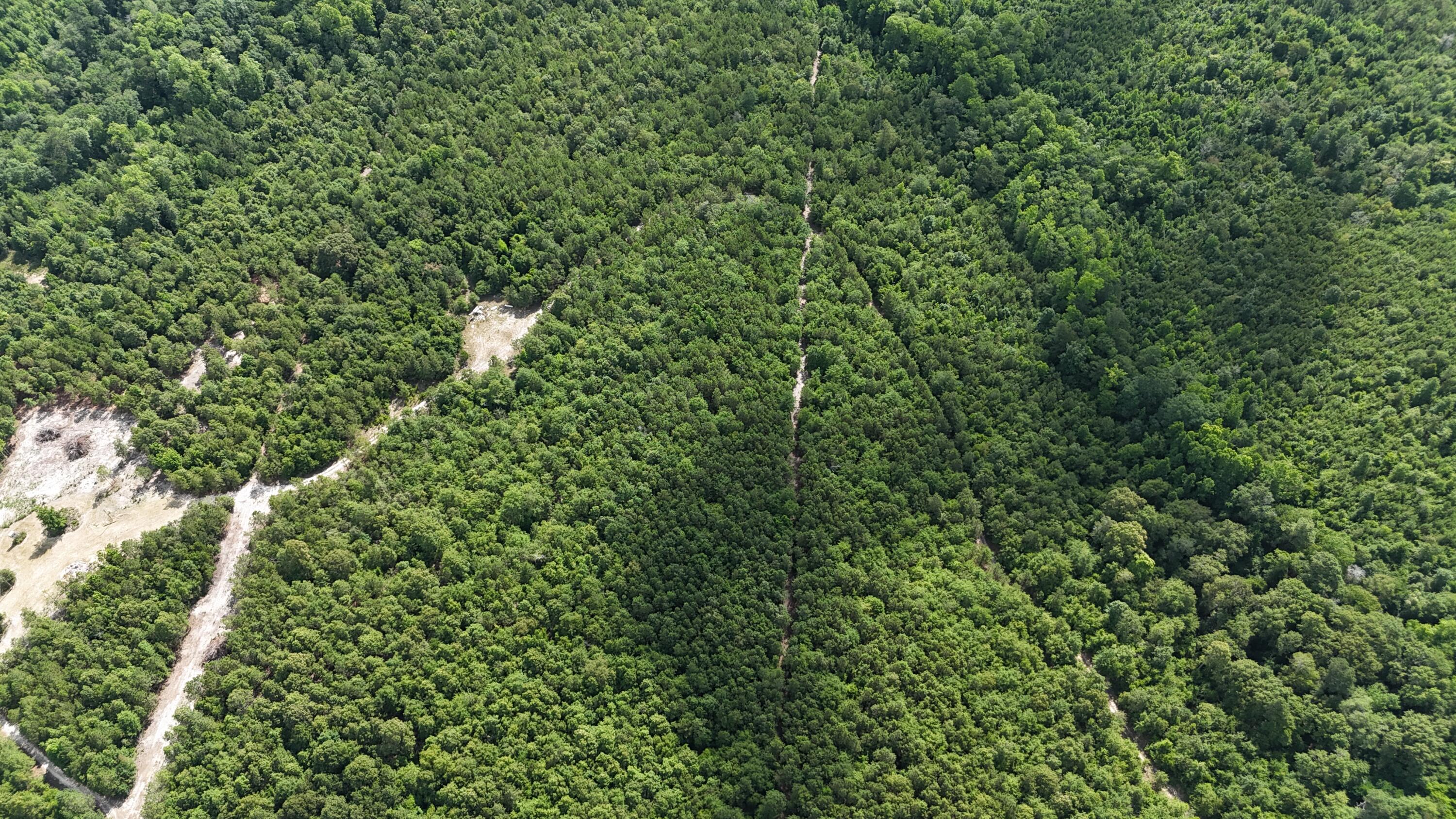 0 Jessie James Pond Road Wrens, GA 30833 - Photo 41 of 51 DJI_20240619104015_0014_D