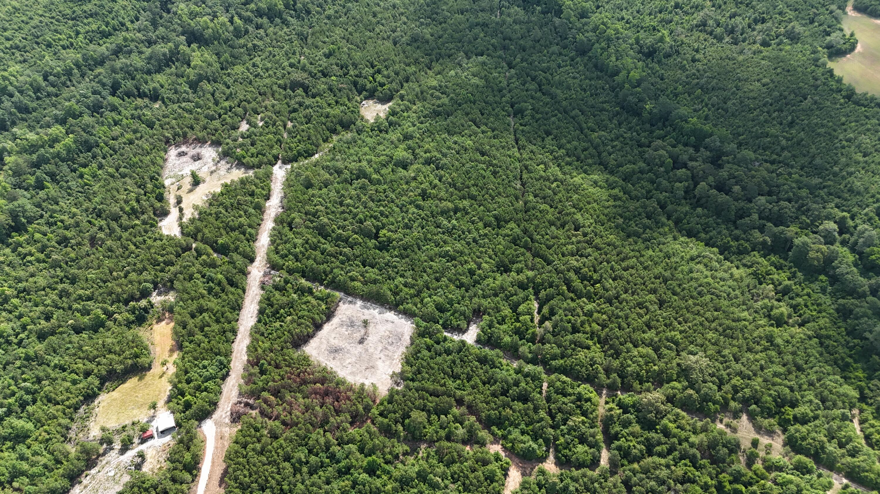 0 Jessie James Pond Road Wrens, GA 30833 - Photo 43 of 51 DJI_20240619104140_0016_D