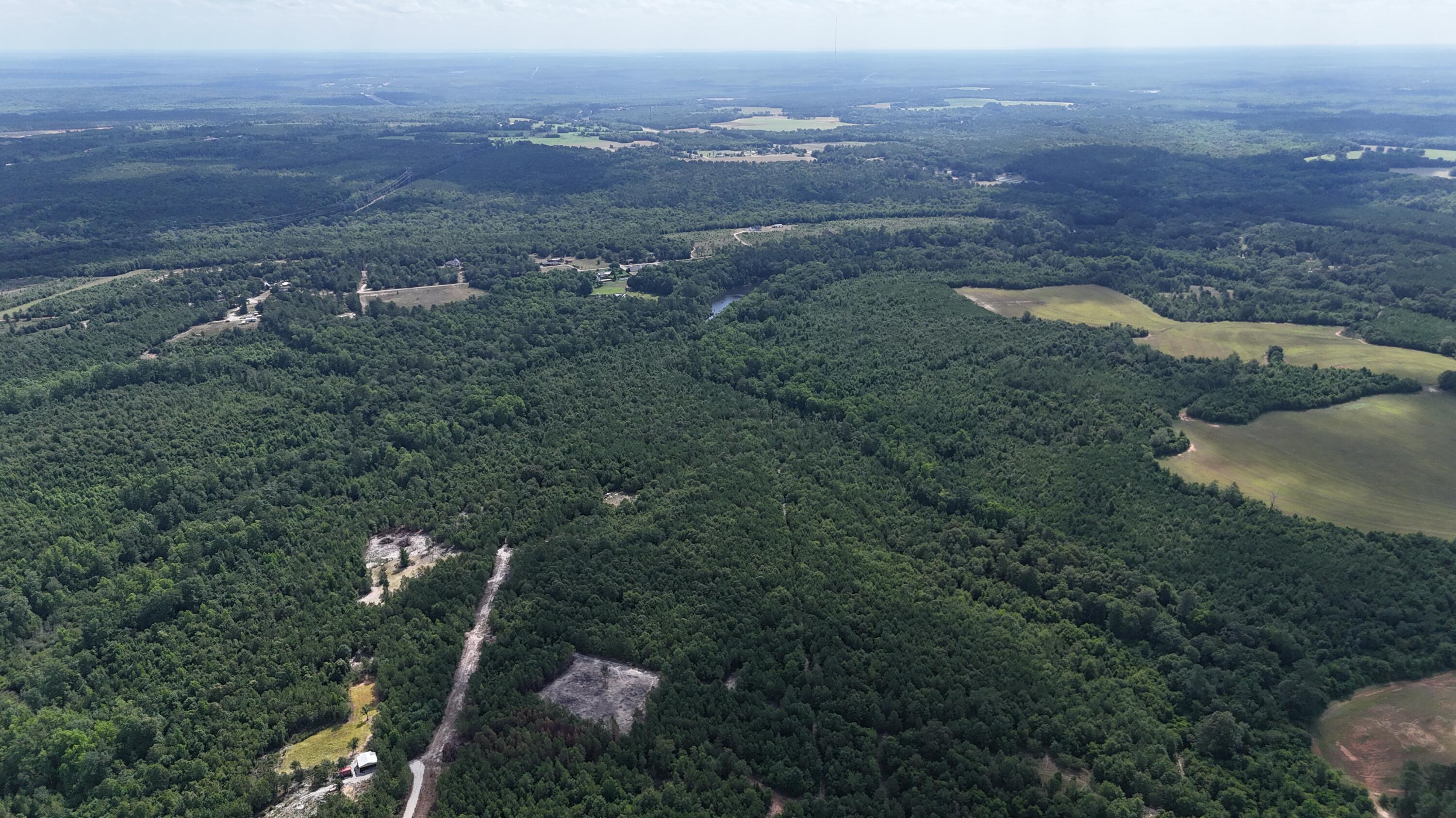 0 Jessie James Pond Road Wrens, GA 30833 - Photo 45 of 51 DJI_20240619104214_0018_D