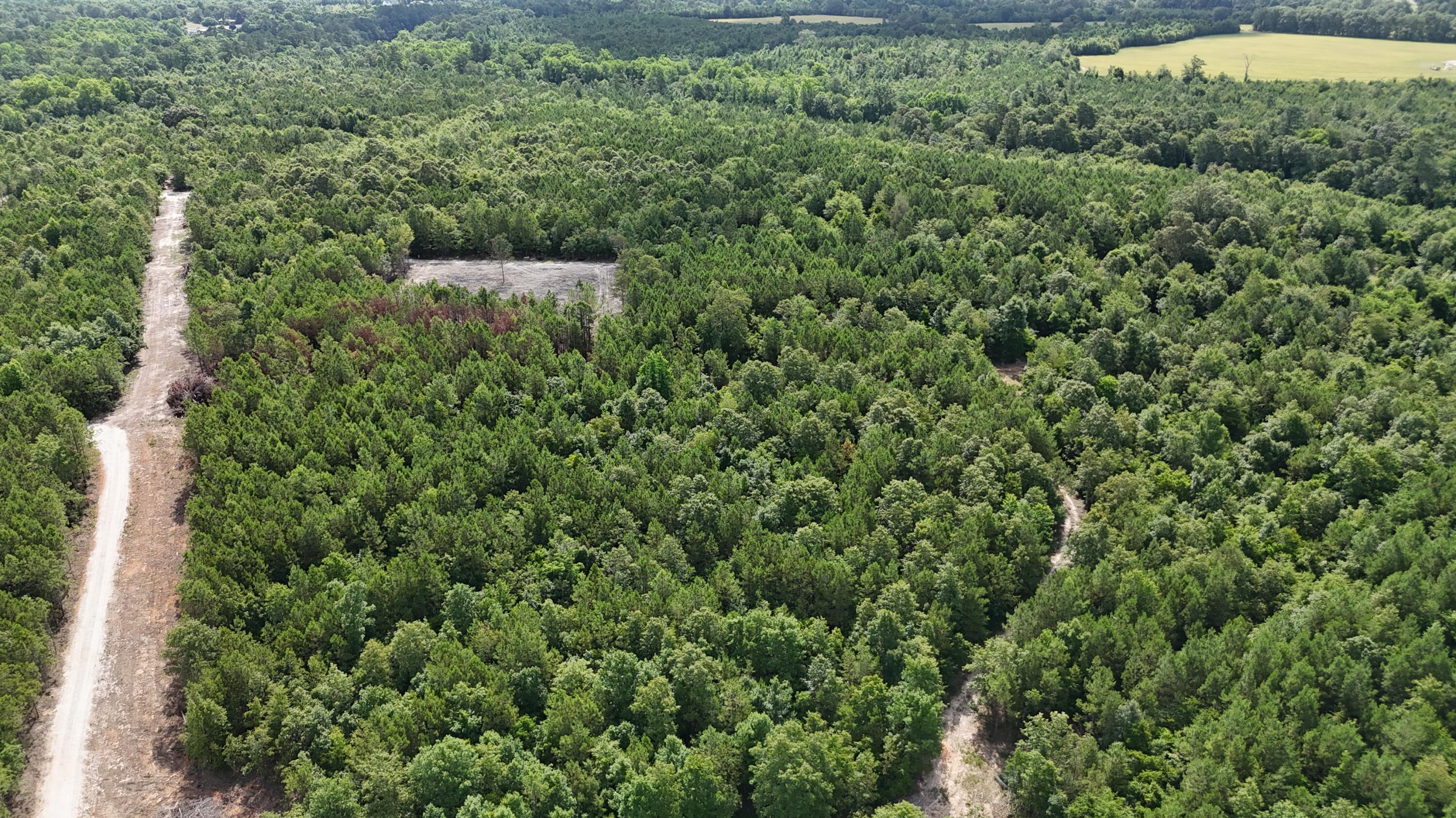 0 Jessie James Pond Road Wrens, GA 30833 - Photo 49 of 51 DJI_20240619104423_0022_D