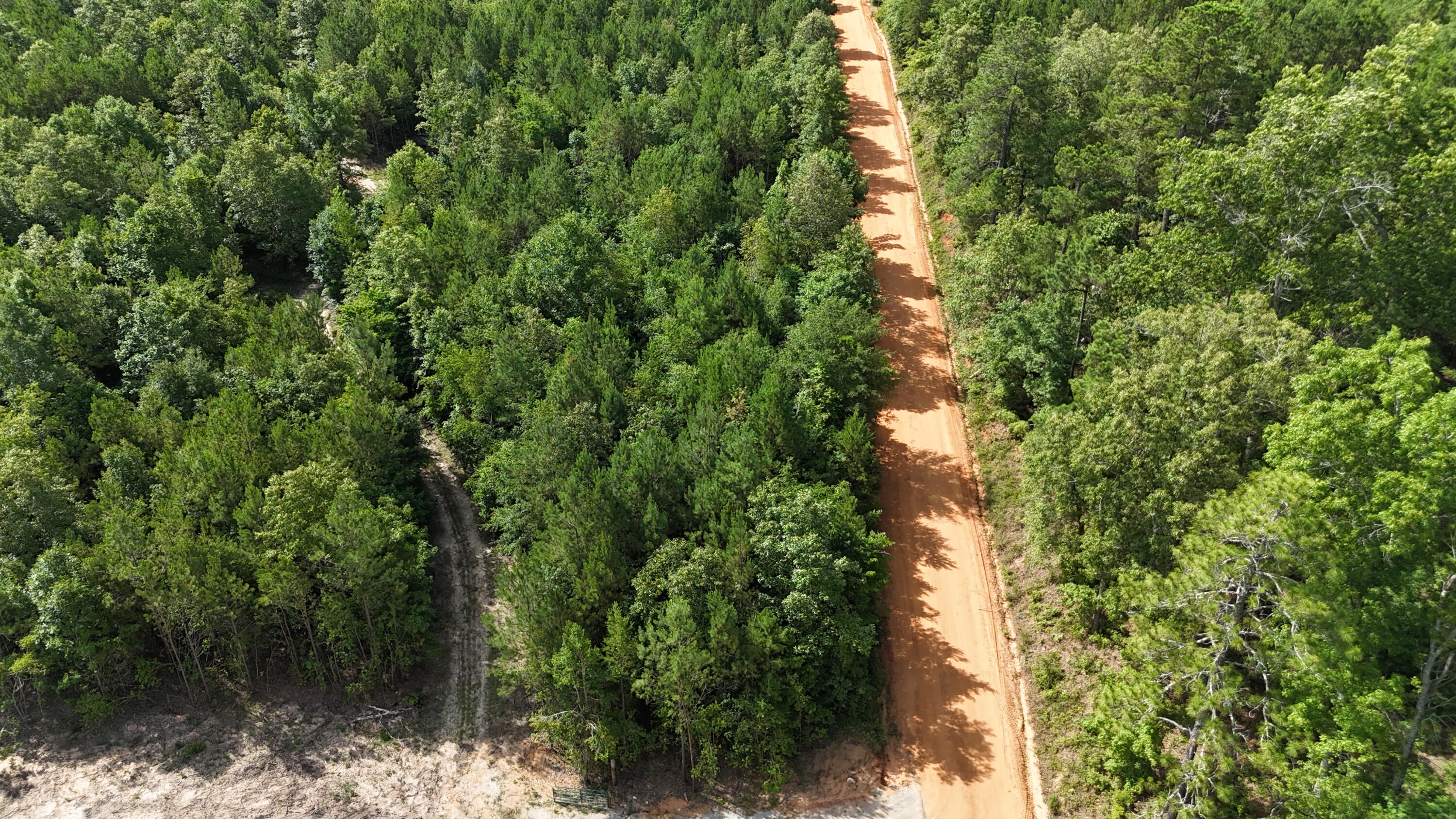0 Jessie James Pond Road Wrens, GA 30833 - Photo 50 of 51 DJI_20240619104456_0023_D
