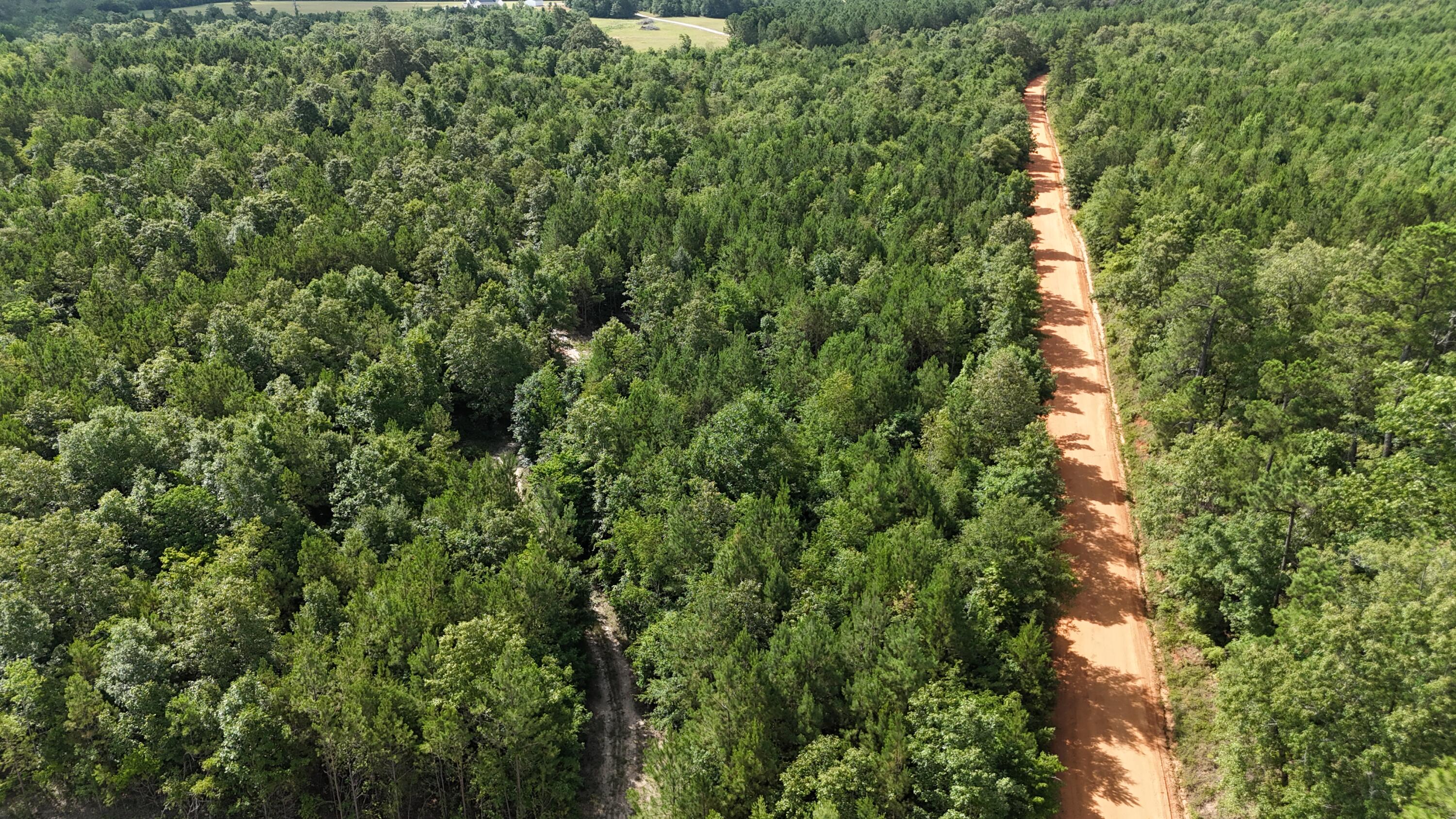 0 Jessie James Pond Road Wrens, GA 30833 - Photo 51 of 51 DJI_20240619104503_0024_D
