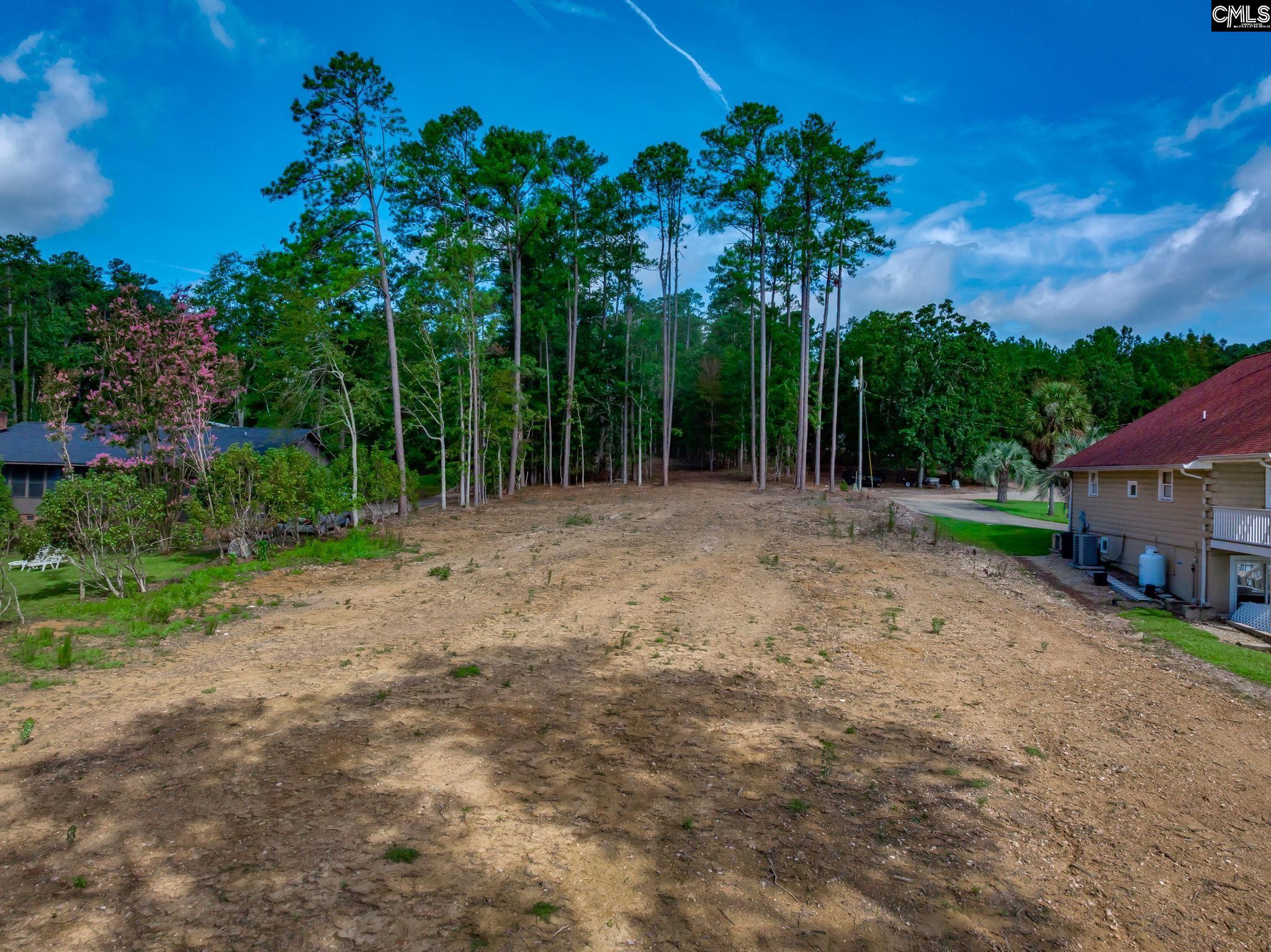 1148 Shull Island Road Gilbert, SC 29054 - Photo 10 of 20
