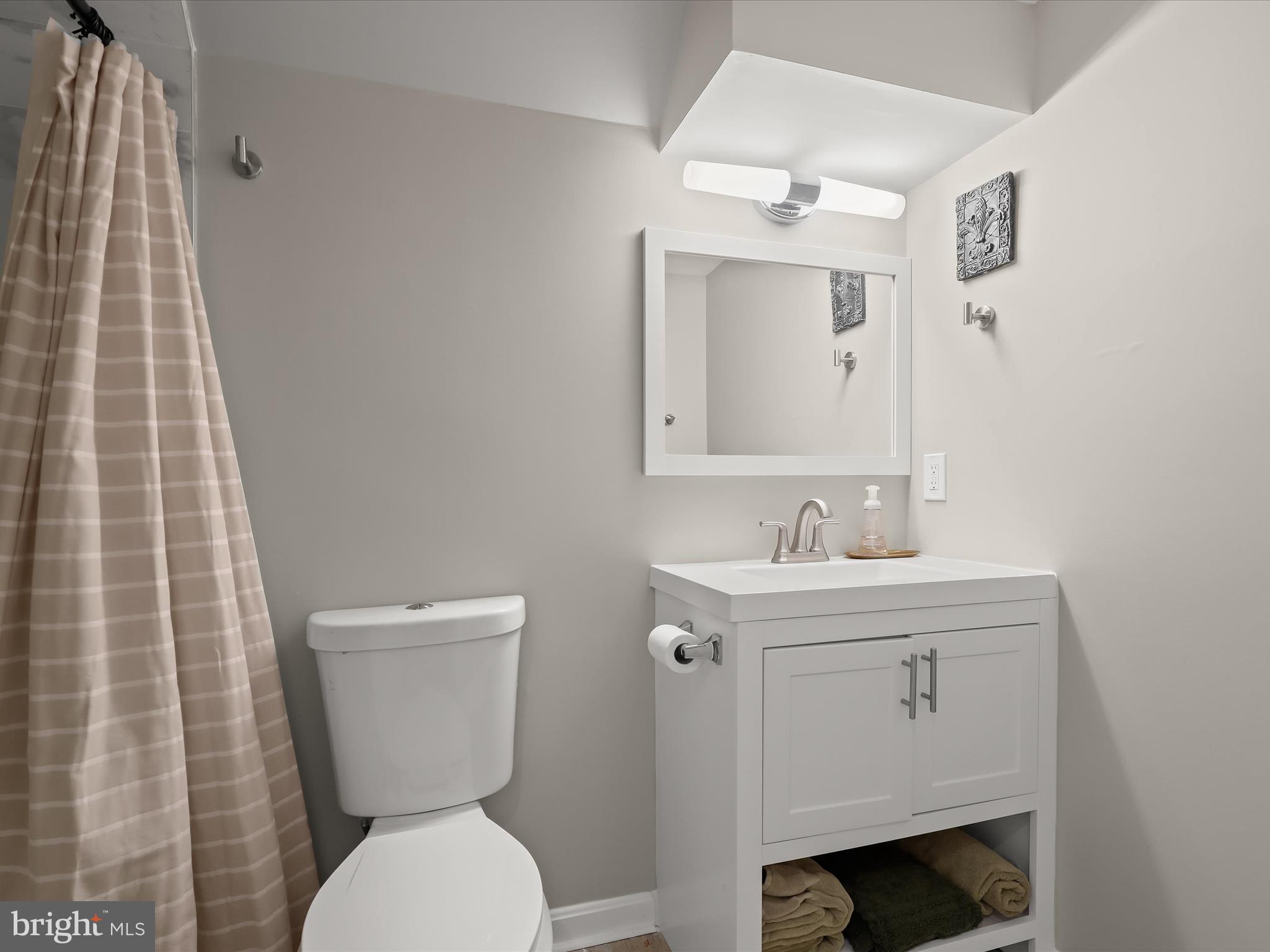 6147 Campfire Columbia, MD 21045 - Photo 44 of 59 Lower level full bathroom