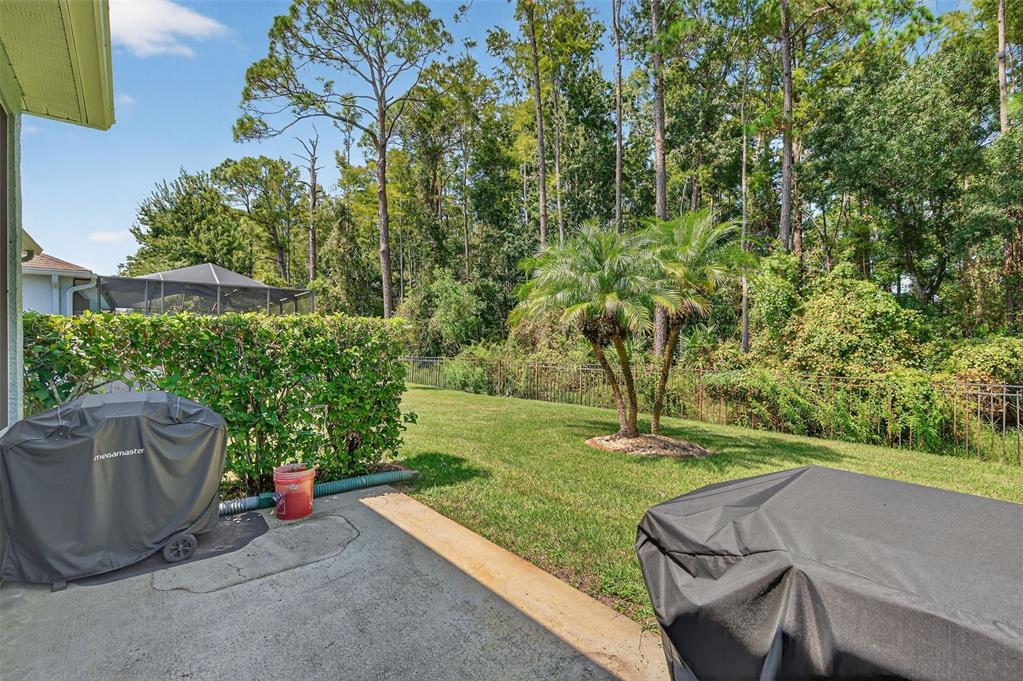11501 Bloomington Court New Port Richey, FL 34654 - Photo 12 of 71 a view of backyard with seating space and trees