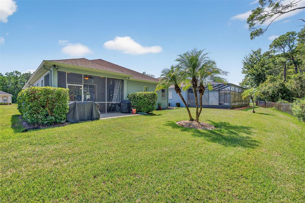 11501 Bloomington Court New Port Richey, FL 34654 - Photo 16 of 71 a front view of a house with a yard and palm trees
