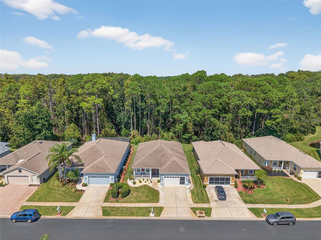 11501 Bloomington Court New Port Richey, FL 34654 - Photo 59 of 71