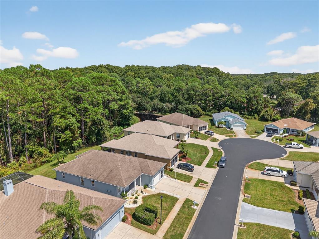 11501 Bloomington Court New Port Richey, FL 34654 - Photo 60 of 71