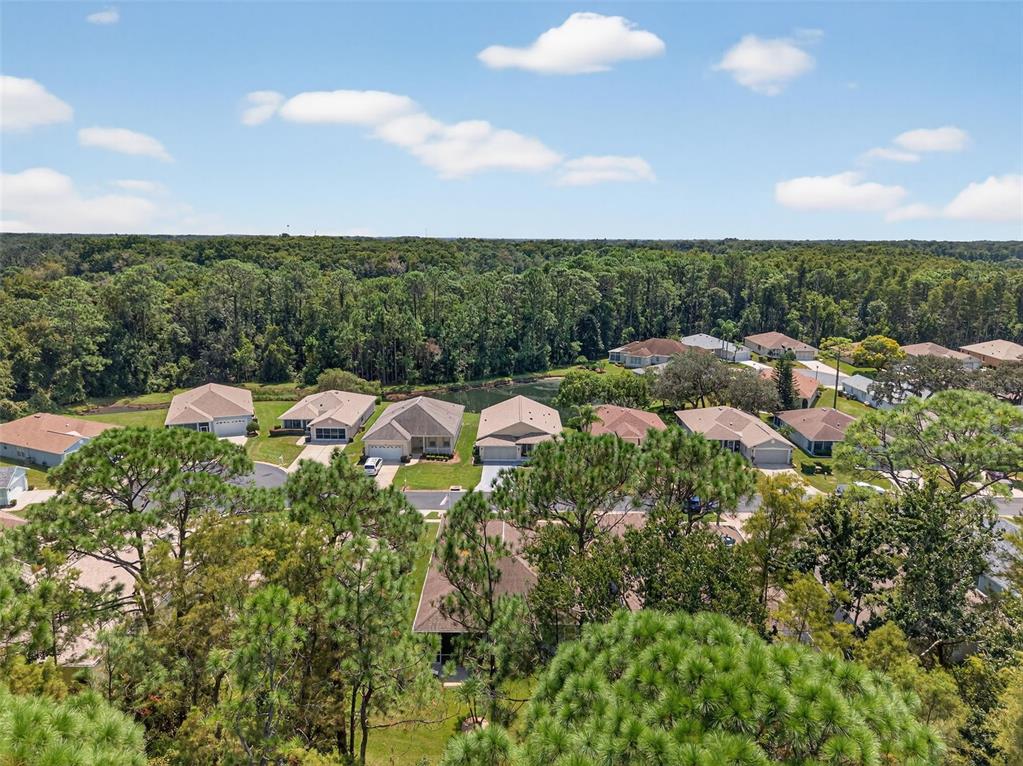 11501 Bloomington Court New Port Richey, FL 34654 - Photo 61 of 71