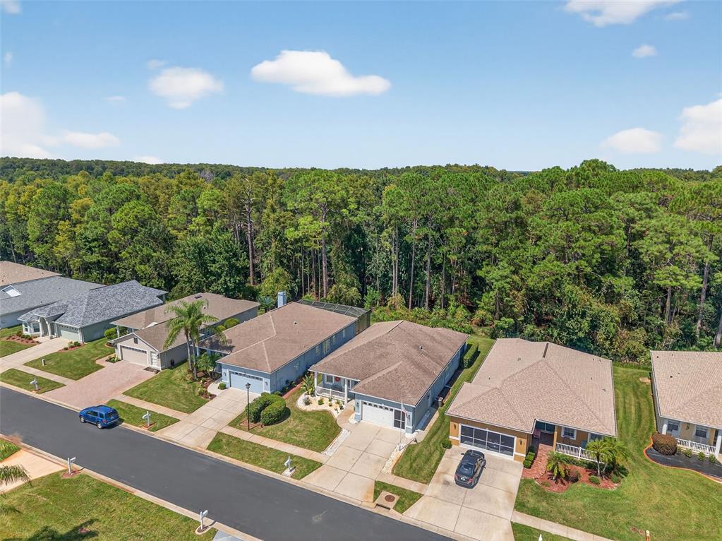 11501 Bloomington Court New Port Richey, FL 34654 - Photo 62 of 71 an aerial view of a house with garden space and street view
