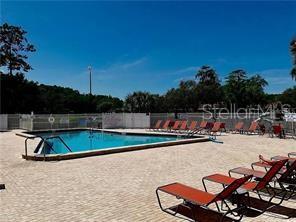 11501 Bloomington Court New Port Richey, FL 34654 - Photo 69 of 71 a view of a swimming pool with a lounge chair
