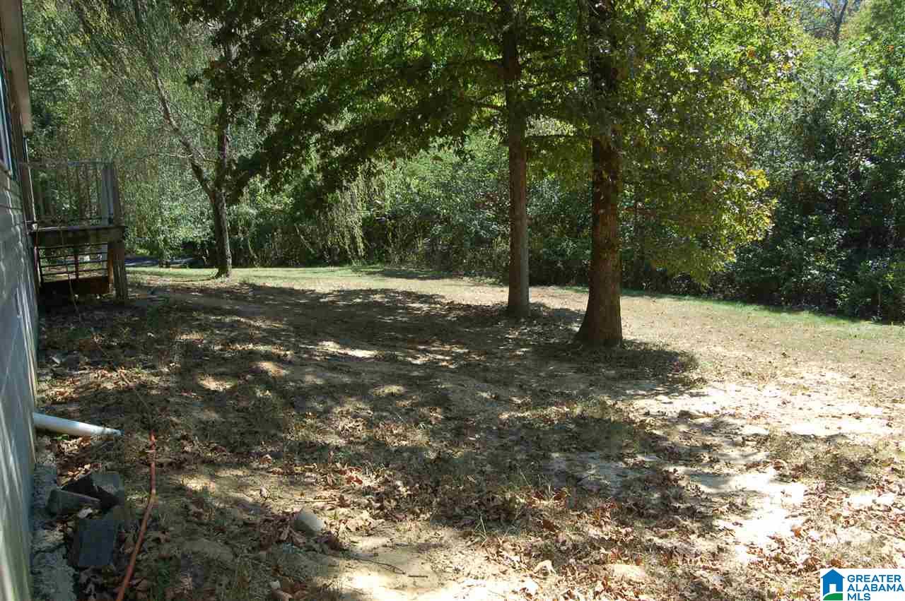 4901 Camp Winnataska Road Southwest Pell City, AL 35128 - Photo 6 of 20
