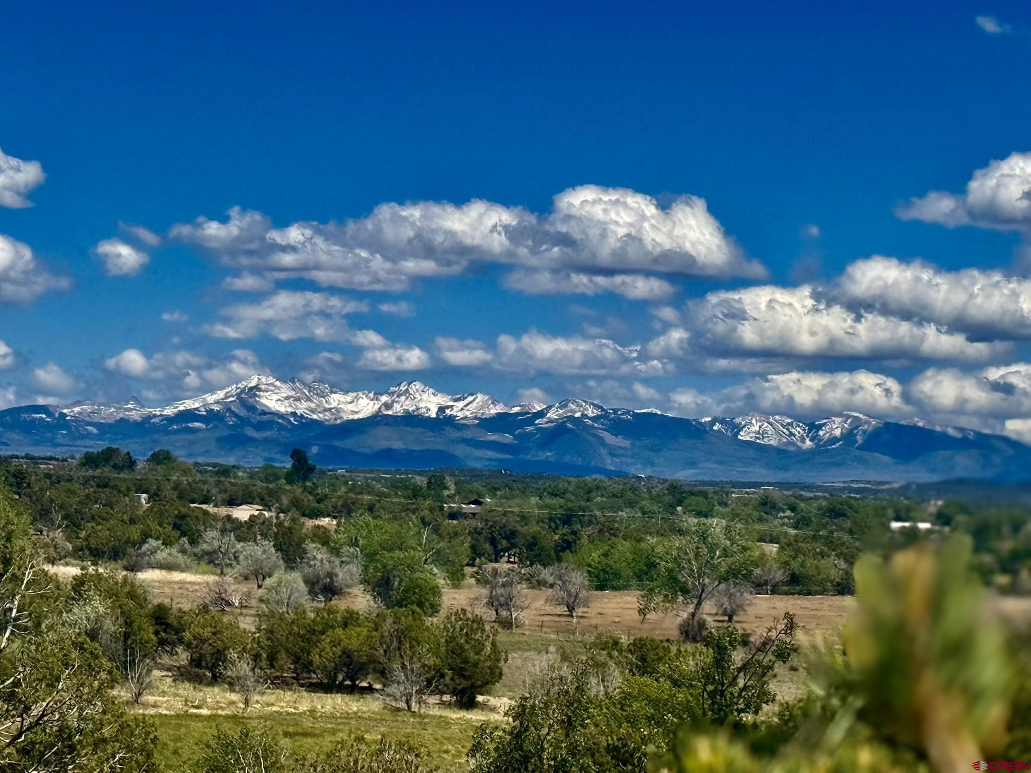 27255 Rd P Dolores, CO 81323 - Photo 39 of 45