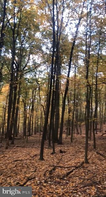 1490 Tower Road York, PA 17406 - Photo 2 of 4