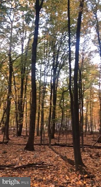 1490 Tower Road York, PA 17406 - Photo 3 of 4