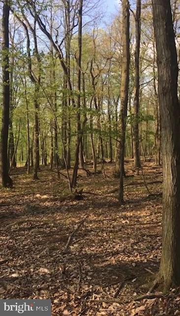 1490 Tower Road York, PA 17406 - Photo 4 of 4