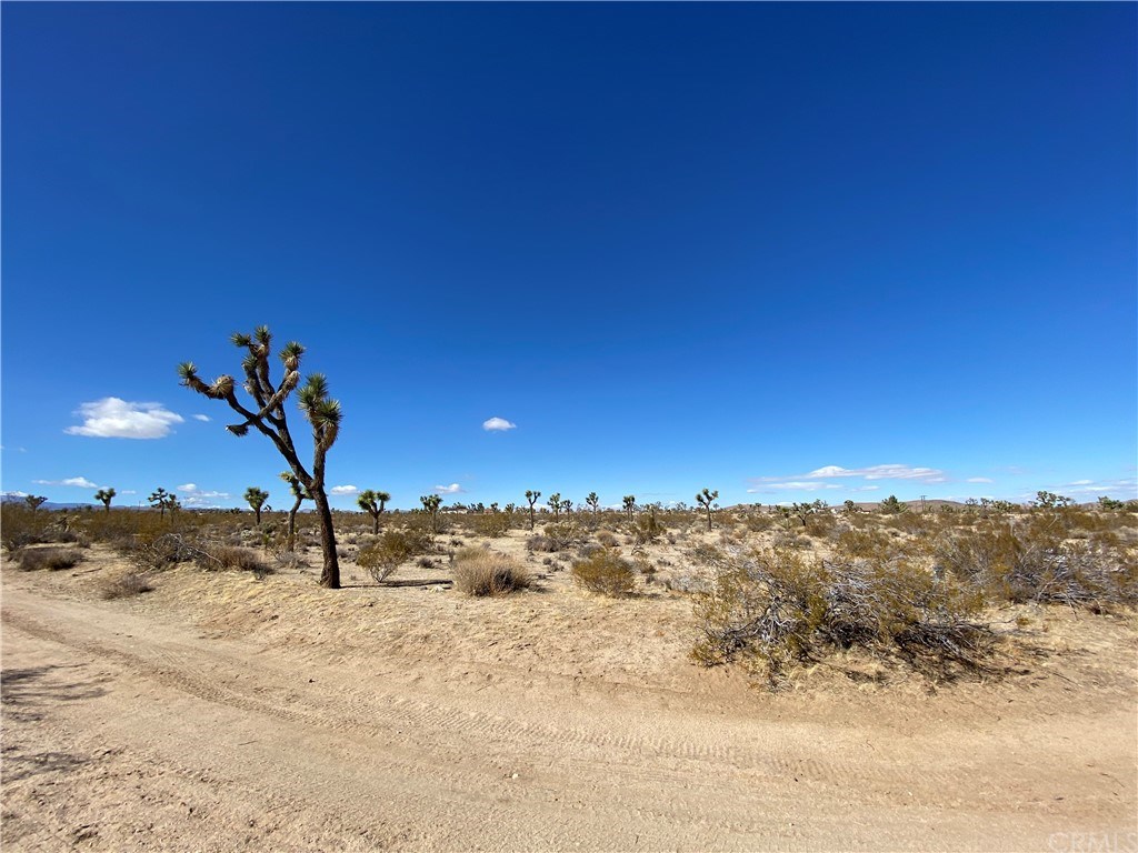 1234 Julcrest Road Yucca Valley, CA 92284 - Photo 1 of 1