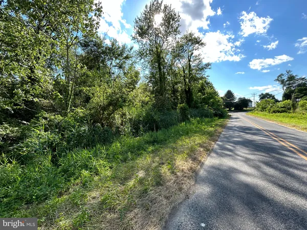 a view of a street with a yard