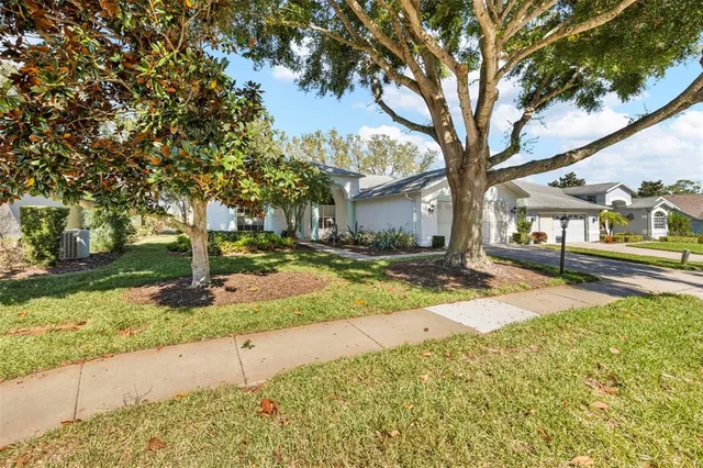 a view of room and window
