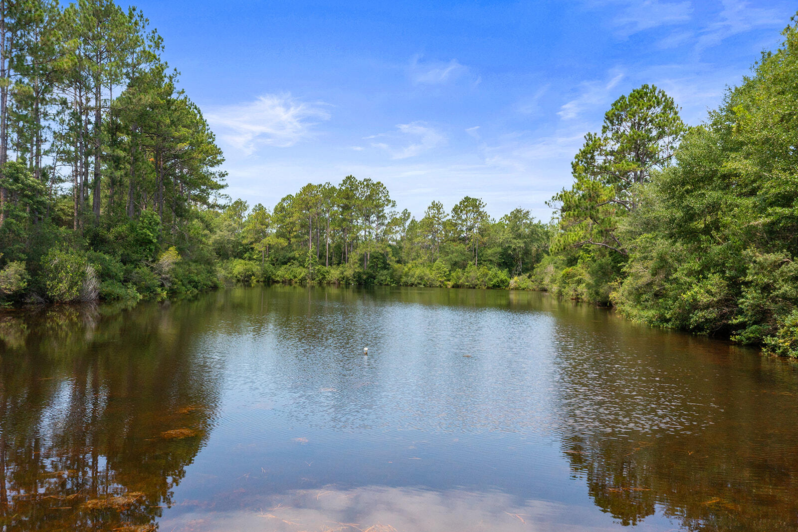 6178 Barnes Road Crestview, FL 32536 - Photo 7 of 54 DJI_0304