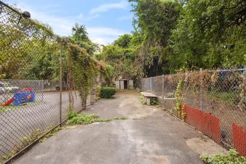 a view of a yard with plants and trees